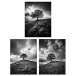 Set of 3 Lone Tree on a Hill Black and White Photographs Countryside Field Landscape Unframed Wall Art Living Room Poster Prints Pack