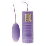 Aqua Silk Vibrating Purple Egg Bullet 4 Speed Wired Vibrator Waterproof Sex Toy