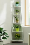 5-tier Modern Corner Ladder Plant Display Stand