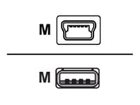 Zebra Usb Cable Pc-usb - Qln Usb A Mini-usb B