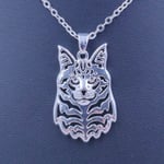 Halsband Maine Coon Kattras Katt Cat Silverpläterad Silver