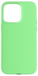 Coque pour iPhone 15 Pro Max Couleur vert pâle simple