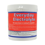 Equine Products UK Everyday Electrolyte Horse Supplement BZ3453