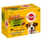 Pedigree Adult Pouch Multipack - 4 sorter i sås 12 x 100 g