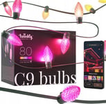 Lampki Choinkowe Twinkly Twinkly C9 Bulbs Smart Led 40 Rgb, 24.2M, Žalias Wire|Twinkly