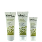 Urban Veda Purifying Face Ritual  Travel Set Skincare Set 3 Pieces Gift Set