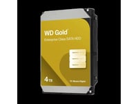 Ernitec Sp-Hdd-Sata-Gold-4Tb