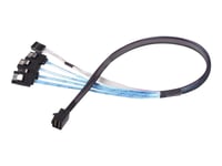 Silverstone Cps05 - Sata/Sas-Kabel - Med Sidoband - Sas 12Gbit/S - 4-Vägs - 4X Mini-Sas Hd (Sff-8643) (Hane) Till Sata, Sidoband (Hane) - 50 Cm - Svart