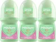 Mitchum Anti-Perspirant & Deodorant Roll-On Powder Fresh Advanced Women 50ml x 3