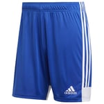 Adidas Tastigo 19 Shorts Blue M / Regular Man