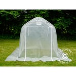 Dancover - Serre tunnel, 2x3x2m, pe, 6m², Transparent - Transparent