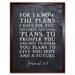 Jeremiah 29:11 I Know The Plans I have For You Plans to Give You Hope Christian Bible Verse Quote Scripture Typography Art Print Framed Poster Wall De