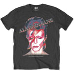 David Bowie Men's Aladdin Sane T-Shirt, Grey, X-Large