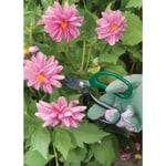 Draper Garden Scissor Set 2 Piece Gardening & House Plant Trimming Scissors