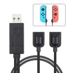 Fashion 2 in 1 Charging Cable for Nintendo Switch Joycon