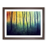 The Colourful Forest Vol.3 H1022 Framed Print for Living Room Bedroom Home Office Décor, Wall Art Picture Ready to Hang, Walnut A3 Frame (46 x 34 cm)