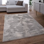 Paco Home - Tapis Salon Adulte Poil Long Shaggy Lavable En Machine Moelleux Pelucheux Gris 140x200 cm