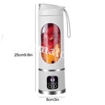 Portable Electric Juicer Cup Fruit Blender Maker Bottle Mixer USB Rechargeable