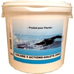 Chlore lent 5 fonctions galet 250g 5kg - NMP - 351019G