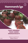 Tomat, Körsbärs-tomat, Cherry - Black Cherry