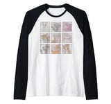 Disney Mickey And Friends Cats Box Up Manche Raglan