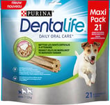 PURINA DENTALIFE MINI | Friandises pour Chiens de Petite Taille | 21 Bâtonnets à Mâcher | Poulet | Maxi Pack| 345 g | Hygiène bucco-dentaire