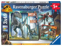 Ravensburger - Puzzle Enfant - Lot de 3 puzzles 49 pièces - T-rex et autres dinosaures / Jurassic World 3 - Fille ou garçon dès 5 ans - Puzzle de qualité supérieure - 3 posters inclus - 05656