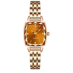 Basfur Dress Watch Fe-Montre-032-01