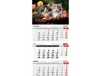 Kalender 2025 Tri-Fold Med Magnet Cats