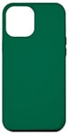 Coque pour iPhone 15 Plus Couleur vert émeraude