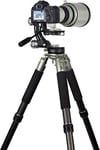 Rollei Lion Rock Gimbal - Carbon Tripod with 30 kg Load Capacity, Ideal for Astro - Bird - and Sports Photography, for SLR and System Cameras, 11 Layer Carbon with Spikes and Gimbal Head