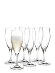 Holmegaard Perfection Champagneglas 23 Cl 6 Stk. Nude