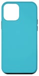 Coque pour iPhone 12 mini Bleu