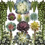 caqpo Lot de 15 Plantes succulentes artificielles sans Pot de qualité supérieure texturées et réalistes pour Le Bricolage – Faux Cactus en Vrac – Plantes succulentes