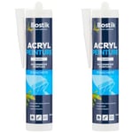 Mastic Acrylique Acryl Peinture - Cartouche de 310 Ml (Lot de 2)