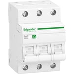 Schneider Electric R9F28325 Dvärgbrytare 3-polig, 440 V 25 A