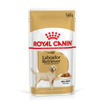 Royal Canin Labrador Retriever Adult i saus - 20 x 140 g