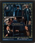 Pyramid International Fantastic Beasts The Secrets of Dumbledore 3D Poster 25cm x 20cm x 1.3cm in Box Frame - Official Merchandise