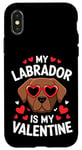 iPhone X/XS Chocolate Labrador My Valentines Hearts Day Dog Mom Dad Case