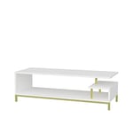 DECOROTIKA - Reilly Modern 120 cm TV Stand and Media Console - TV Unit – 55 inch TV Stand - Colour Options (Gold/White)