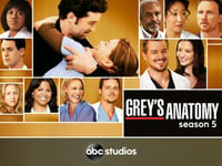 Grey's Anatomy Season 5