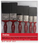 ProDec 6 piece Windsor Trade Professional Pure Bristle Paint Brush Set for Painting with Emulsion, Gloss and Satin Paints on Walls, Ceilings, Wood and Metal, Contains 2x 1, 2x 1.5, 2x 2 inch Brushes