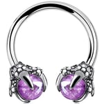 OUFER Body Piercing Horseshoe Earrings Helix Piercing 316L Surgical Steel Helix Earrings Dragon Claws Circular Ring Cartilage Earring Body Piercing Amethyst