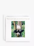 Susan O'Hanlon Panda Put Your Feet Up Blank Greeting Card