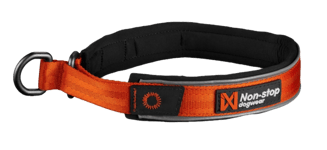 Cruise Collar Orange XS 36cm - Hund - Halsbånd og seler - Non-Stop Dogwear