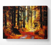Forest Autumn Path Canvas Print Wall Art - Double XL 40 x 56 Inches