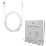 Original Apple Lightning USB Cable for iPhone 7 4.7 7 Plus 5.5 Charge 2M IPM2