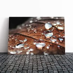 Big Box Art Canvas Print Wall Art Rain Drops on an Autumn Leaf (3) | Mounted and Stretched Box Frame Picture | Home Decor for Kitchen, Living Room, Bedroom, Hallway, Multi-Colour, 24x16 Inch