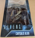 Alien vs Predator Movie Deco Chrysalis Aliens Action Figure