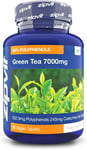 Green Tea Extract 7000mg Antioxidant, 95% Polyphenols. 90 Vegan Green Tea 3